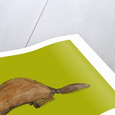 Beaver, 2014 by Sarah Thompson-Engels