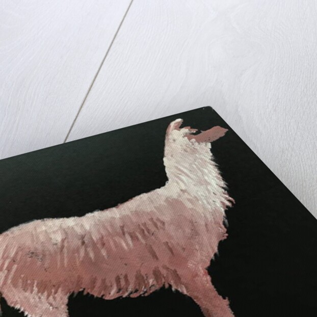 Llama, 2019 by Sarah Thompson-Engels