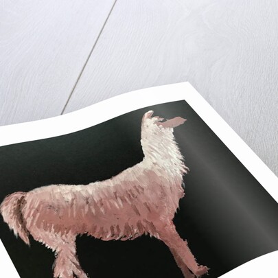 Llama, 2019 by Sarah Thompson-Engels