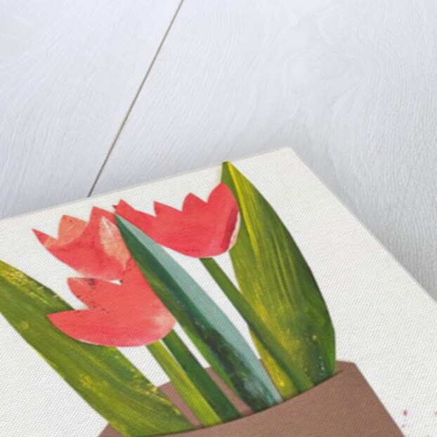 Tulips in a pot, 2018 by Sarah Thompson-Engels