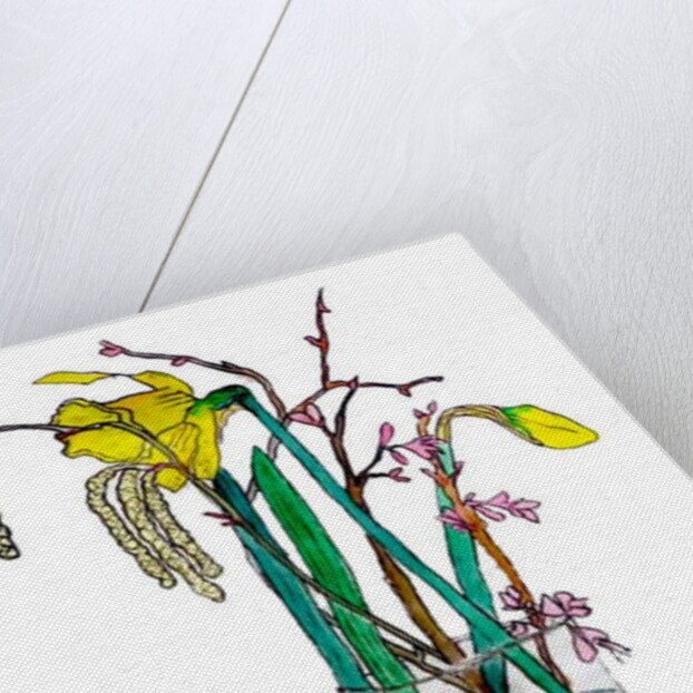 Daffodils and catkins, 2018 by Sarah Thompson-Engels