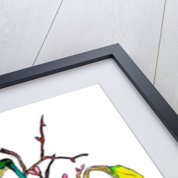 Daffodils and catkins, 2018 by Sarah Thompson-Engels