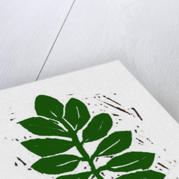 Leaf, 2019 by Sarah Thompson-Engels