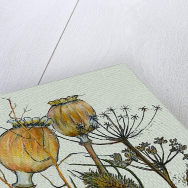 Dried seed heads,2019 by Sarah Thompson-Engels