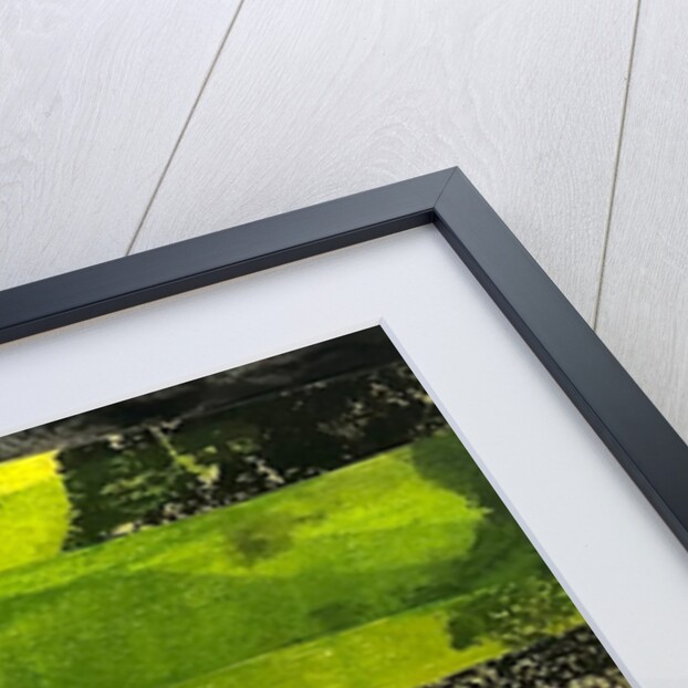 Cut out Flora, 2023 by Sarah Thompson-Engels