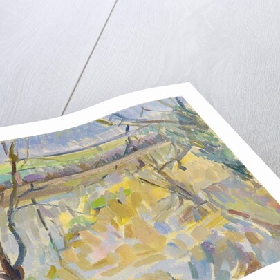 The Flooded Cherwell from Rousham II by Erin Townsend