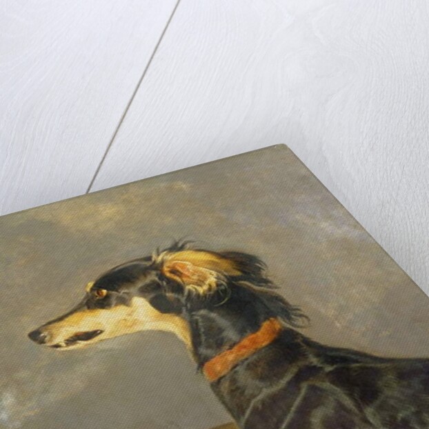 A Saluki Dog, 1840-44 by Edwin Landseer