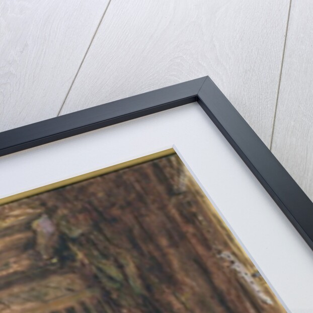 The Frugal Meal by William Henry Hunt