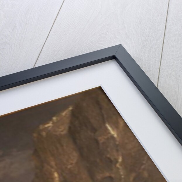 Up the Sogne Fjord, near Gudangen, 1876 by Adelsteen Normann