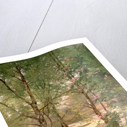 In a Fairy Woodland by Ernest Parton