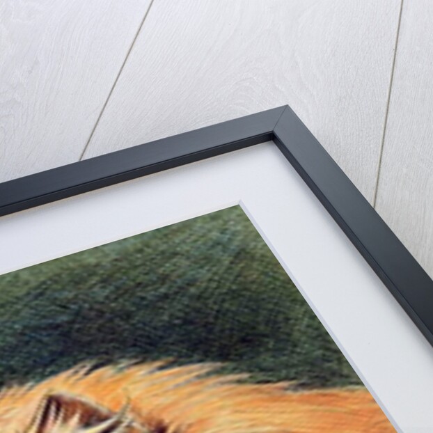 The Monocle by Louis Wain