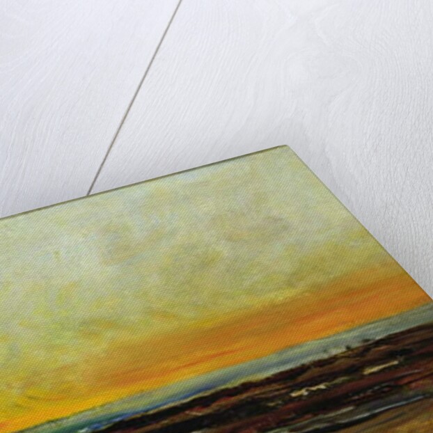 Sunset on the Sea Coast by Charles Francois Daubigny