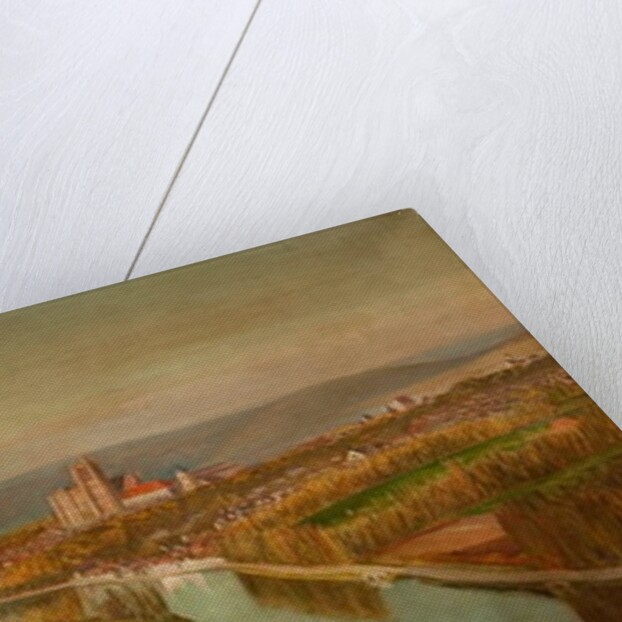 Sens from the Vineyards, 1863 by Philip Gilbert Hamerton