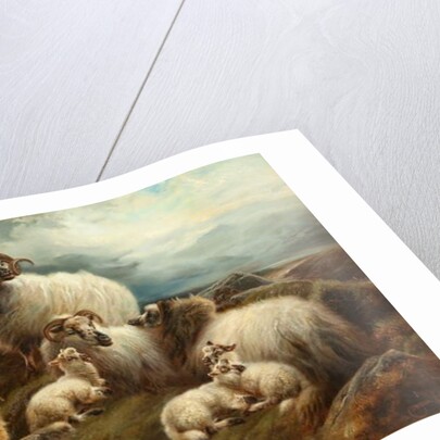 Sheep in a Landscape, 1894 by Robert Watson