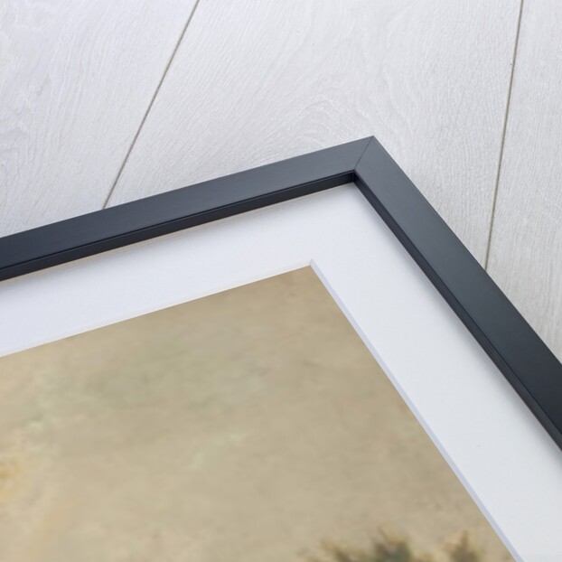 Salisbury Cathedral by Henry Earp