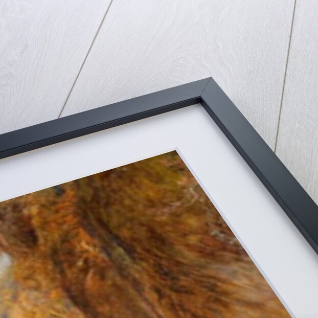 The Fairy Glen, Bettws-y-Coed by Henry Clarence Whaite