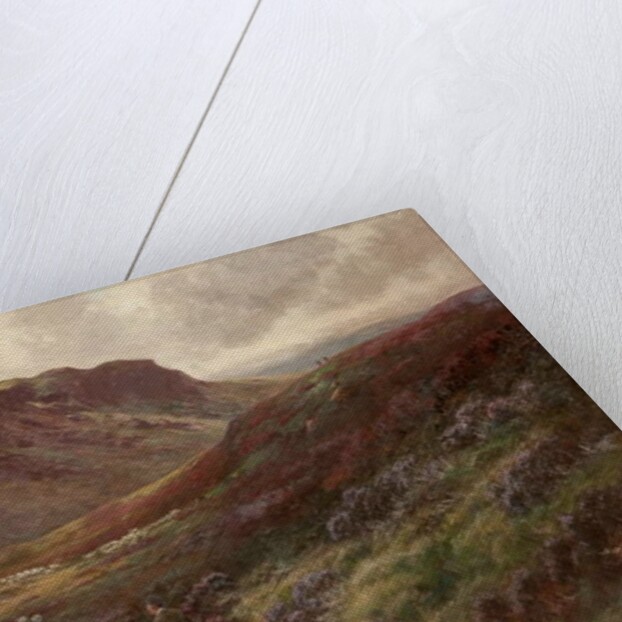 Landscape by Stephen Enoch Hogley