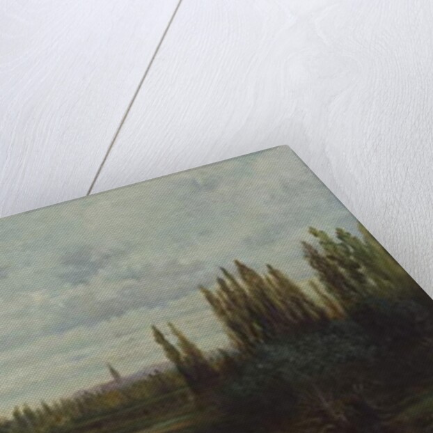 Ponds near Strasbourg by Gustave Dore