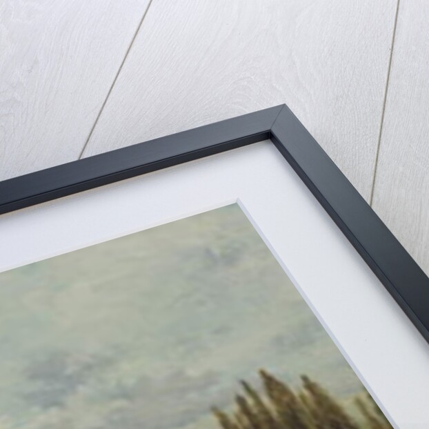 Ponds near Strasbourg by Gustave Dore