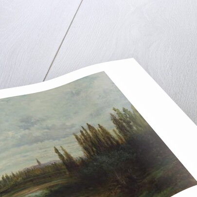 Ponds near Strasbourg by Gustave Dore