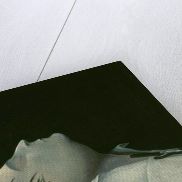 Napoleon on his Deathbed on St Helena, 1821 by Denzil O. Ibbetson