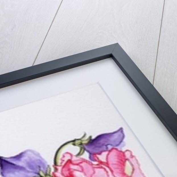 Ten Sweet Peas with Tendrils, 2012 by Joan Thewsey