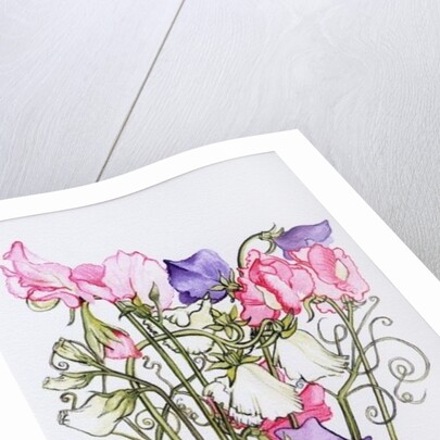 Ten Sweet Peas with Tendrils, 2012 by Joan Thewsey