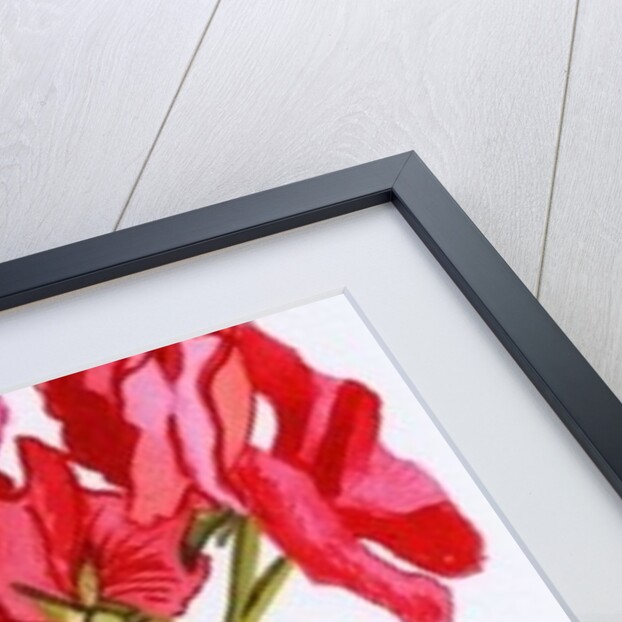 Three Sweet Peas, 2011 by Joan Thewsey