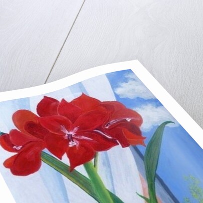 Amaryllis in a Blue Bowl, 2011 by Joan Thewsey