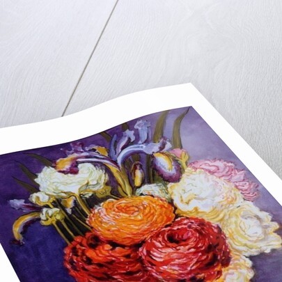 Ranunculus in a Glass, 2000 by Joan Thewsey