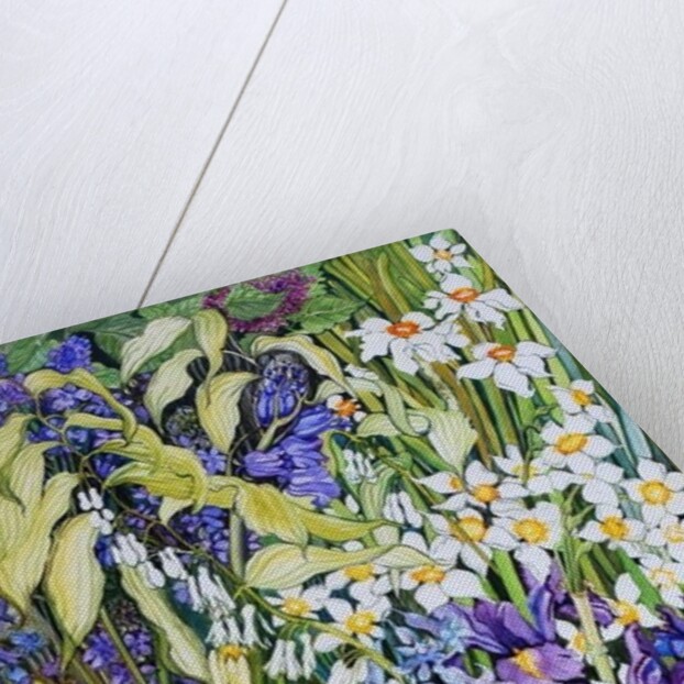 Spring Border, 2012 by Joan Thewsey