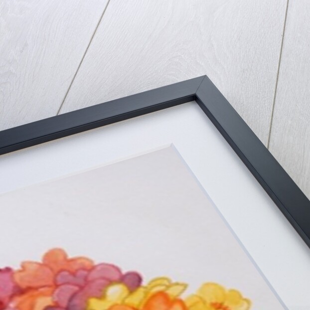 The Multicoloured Primrose, 2011 by Joan Thewsey