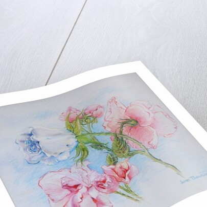 Morning Roses, 2002 by Joan Thewsey