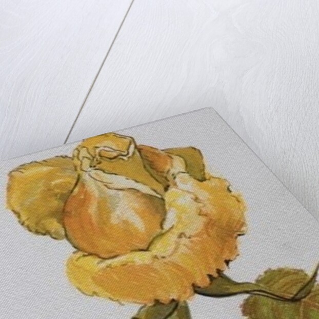 Single Yellow Rose Arthur Bell, 2006 by Joan Thewsey