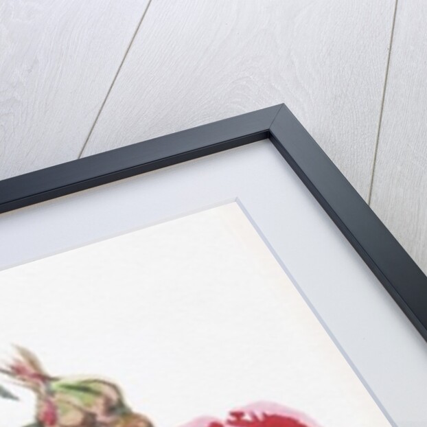 Red Rose Spray, 2001 by Joan Thewsey