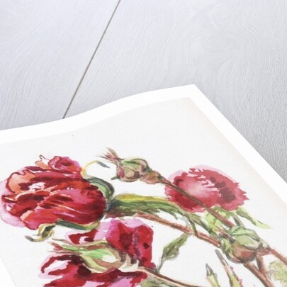 Red Rose Spray, 2001 by Joan Thewsey