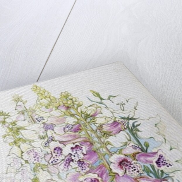 Foxgloves and White Campanulas, 2012 by Joan Thewsey
