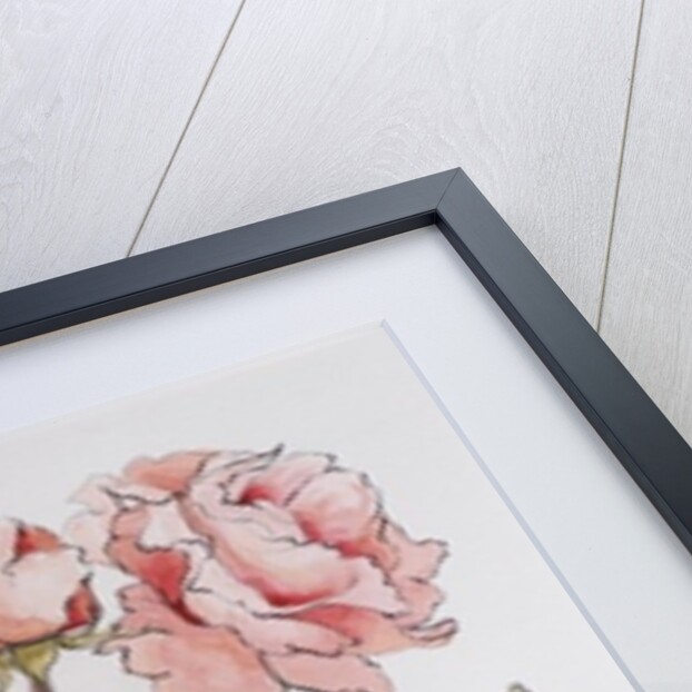 Roses,Abraham Darby, 2012 by Joan Thewsey