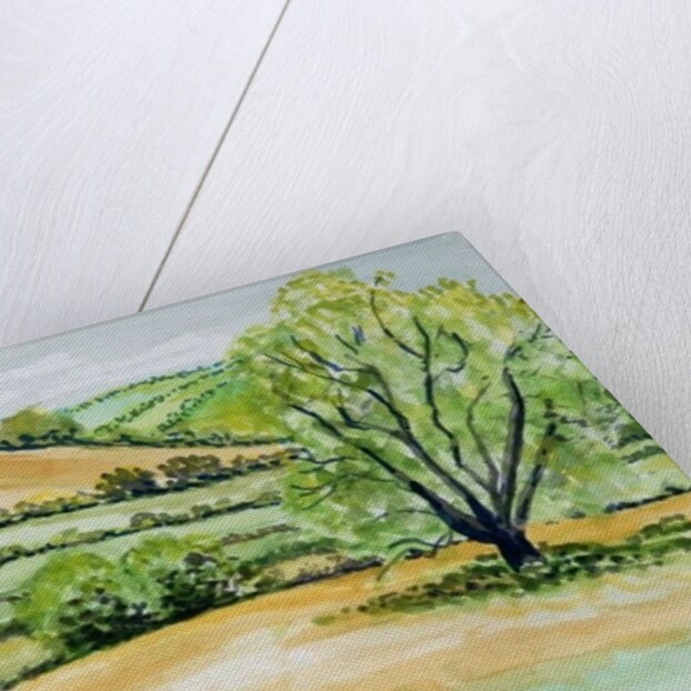 Suffolk Landscape, view from Dalham Church, 2011 by Joan Thewsey