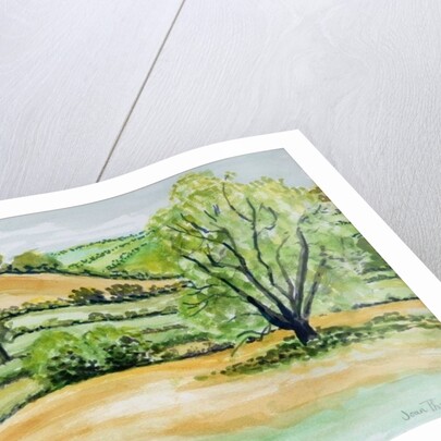 Suffolk Landscape, view from Dalham Church, 2011 by Joan Thewsey