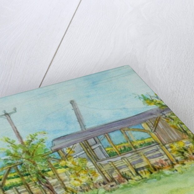 Cottage Garden with Wheelbarrow, 2011 by Joan Thewsey