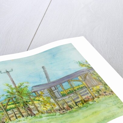 Cottage Garden with Wheelbarrow, 2011 by Joan Thewsey