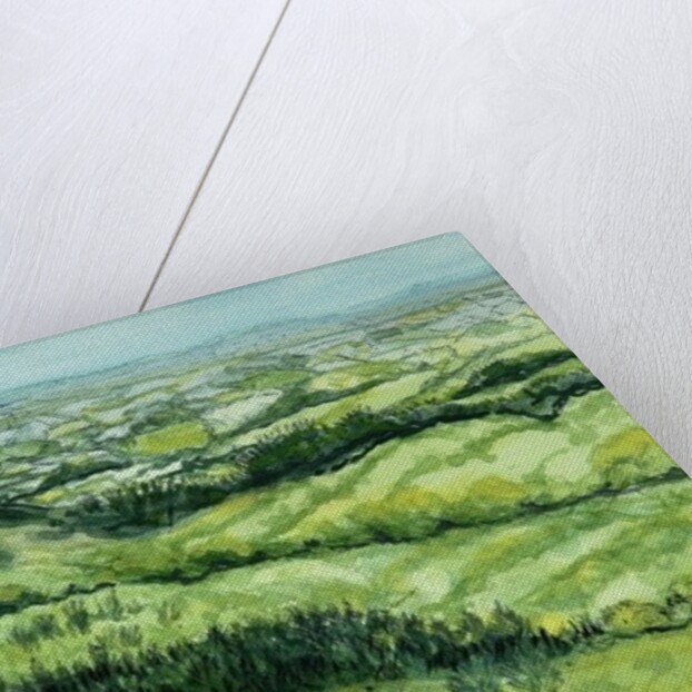 View from Sue au Mai, Limousin France, 2010 by Joan Thewsey