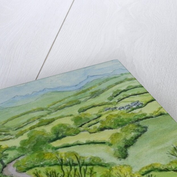 View from Mount Gargan, Limousin, France, 2010 by Joan Thewsey