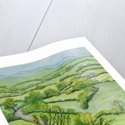 View from Mount Gargan, Limousin, France, 2010 by Joan Thewsey