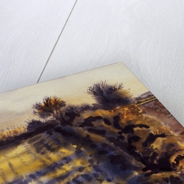 Field with Long Shadows by Joan Thewsey