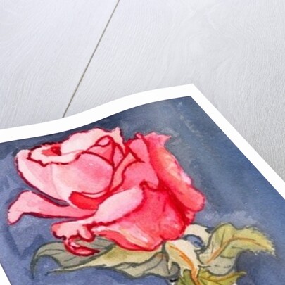 Pink Rose in a Bud Vase, 2000 by Joan Thewsey