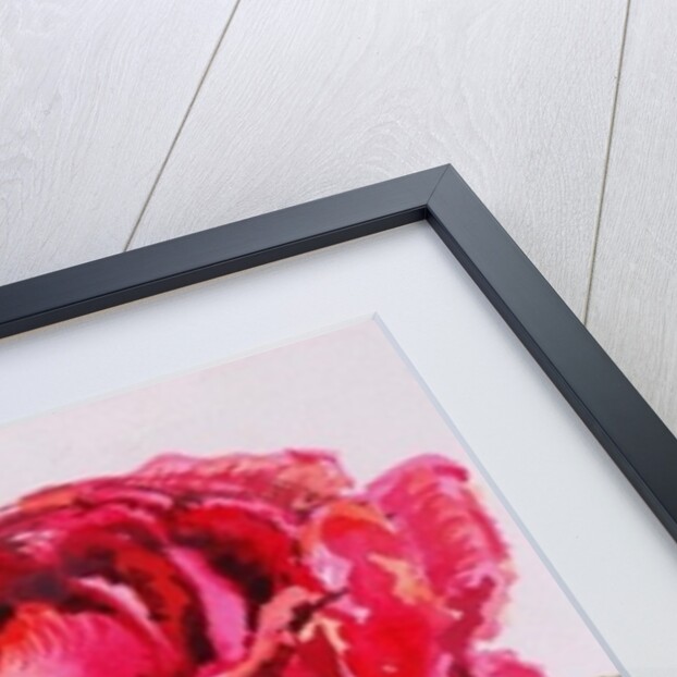 A Red Rose, 2000 by Joan Thewsey