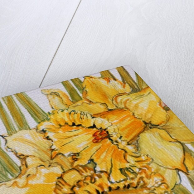 Two Daffodils, 2001 by Joan Thewsey