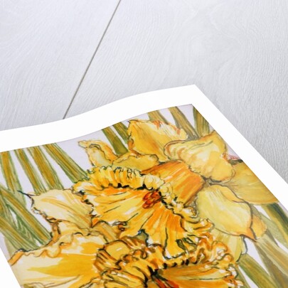 Two Daffodils, 2001 by Joan Thewsey